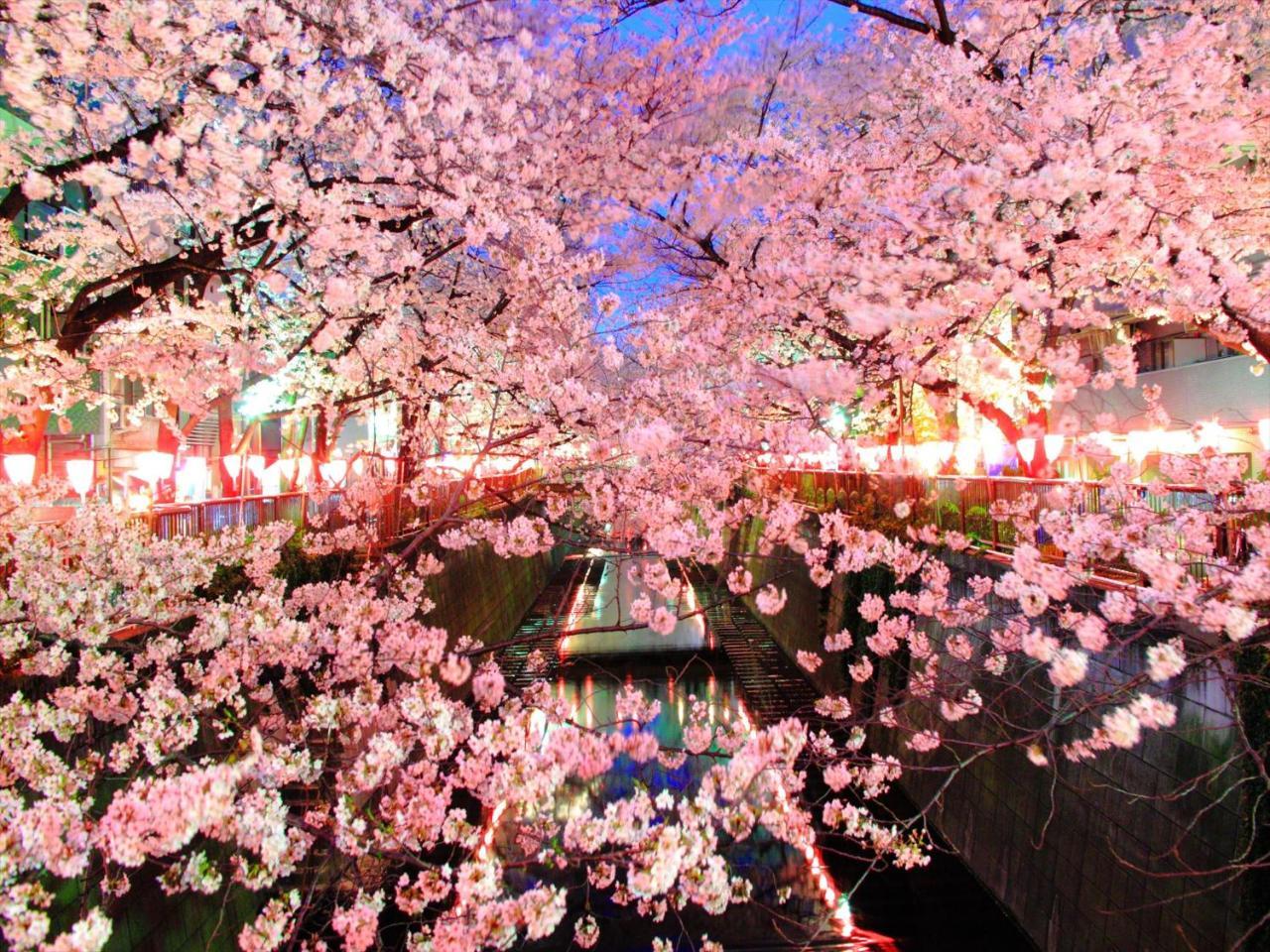 Coto Tokyo Shibuya 4 Leilighet Eksteriør bilde